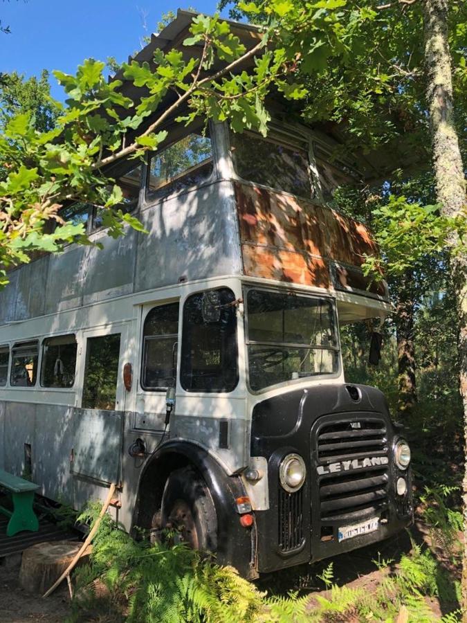 Cosmic English Bus 2 Floor Mimizan-Plage Zewnętrze zdjęcie